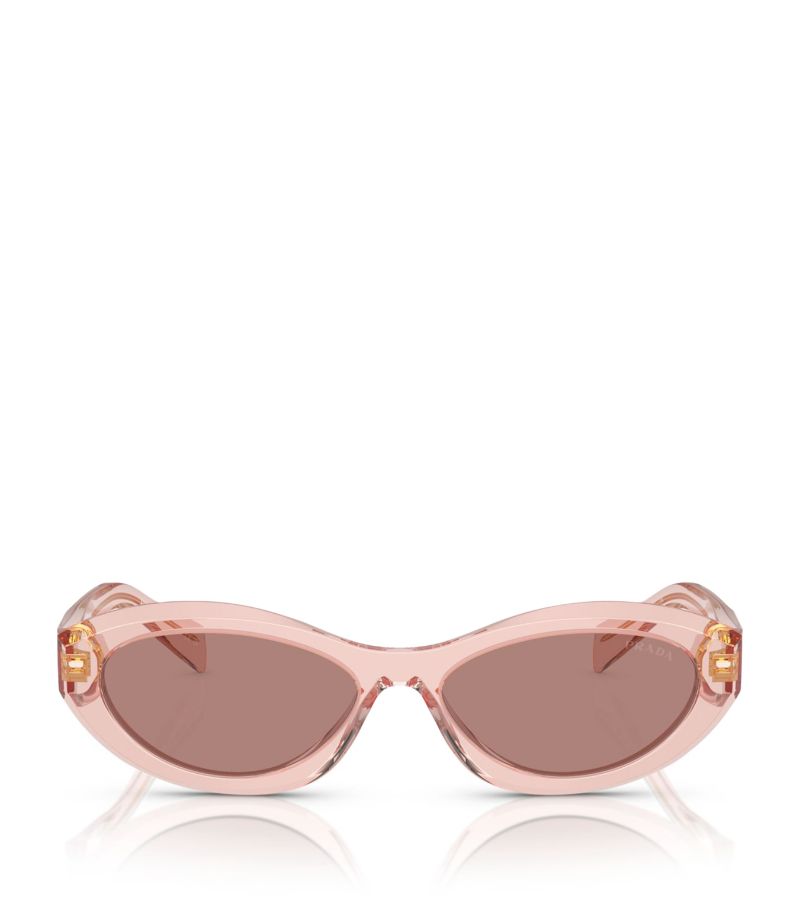 Prada Prada Acetate Pr 26Zs Sunglasses