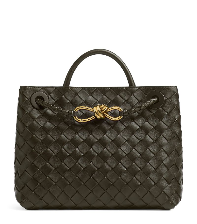 Bottega Veneta Bottega Veneta Small Andiamo Shoulder Bag