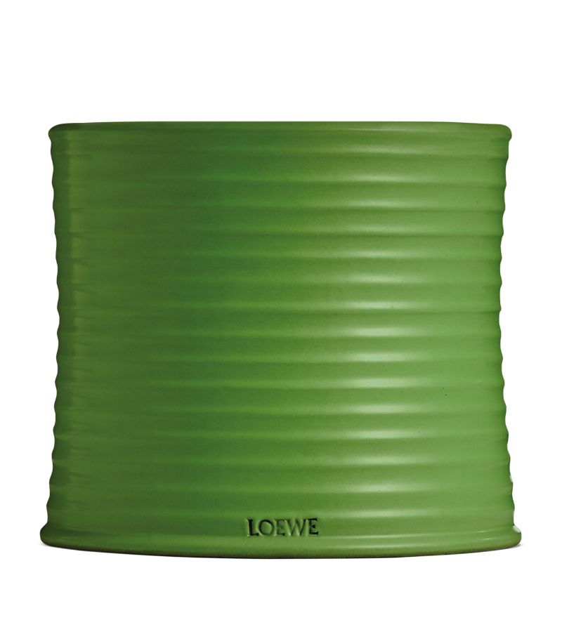 Loewe LOEWE Large Luscious Pea Candle (2.12kg)