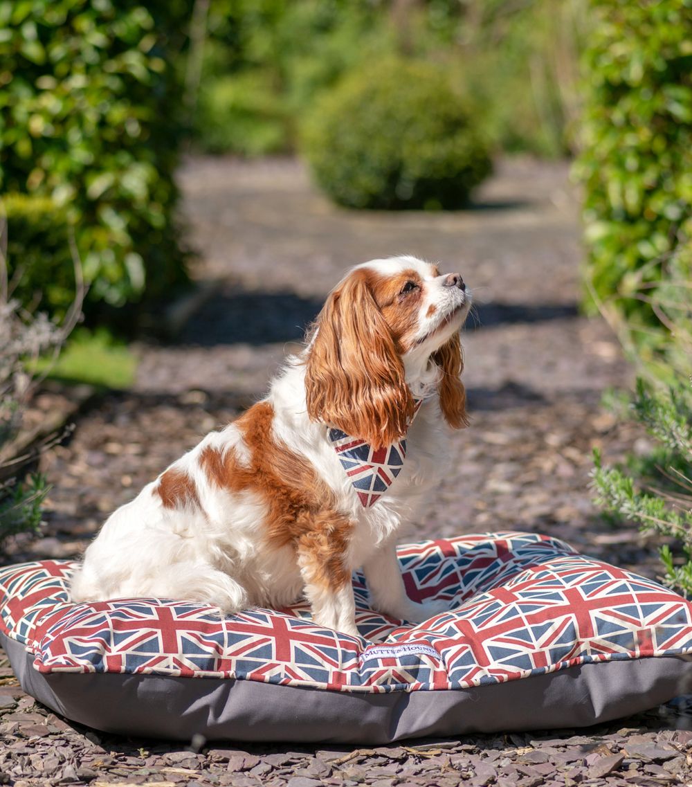 Mutts And Hounds Mutts And Hounds Union Jack Pillow Dog Bed (Medium)