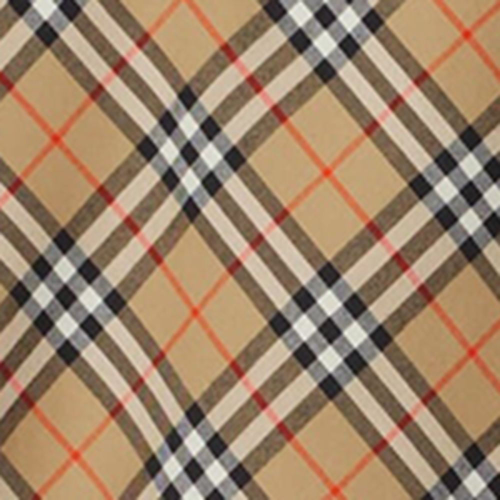 Burberry Burberry Check Shirt