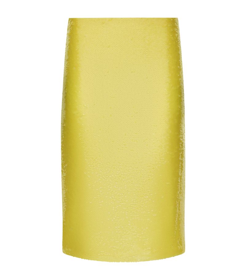 Dolce & Gabbana Dolce & Gabbana Sequinned Midi Skirt