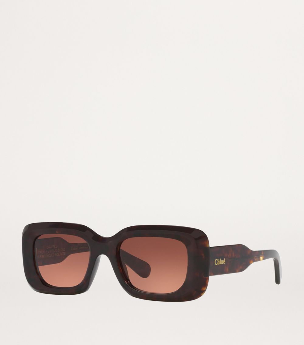 Chloé Chloé Acetate 06N000505 Sunglasses