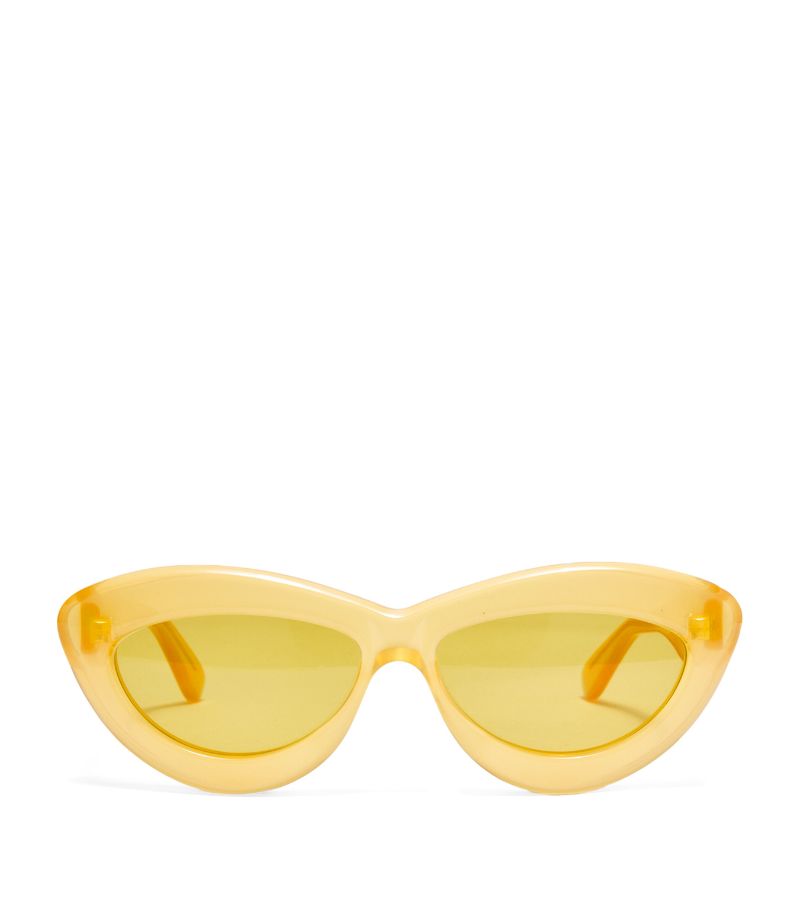 Loewe Loewe Cat Eye Sunglasses