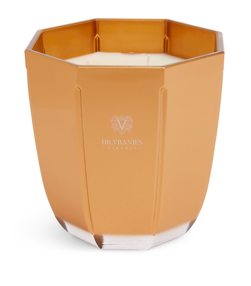 Dr. Vranjes Firenze Dr. Vranjes Firenze Oud Nobile Candle (500G)