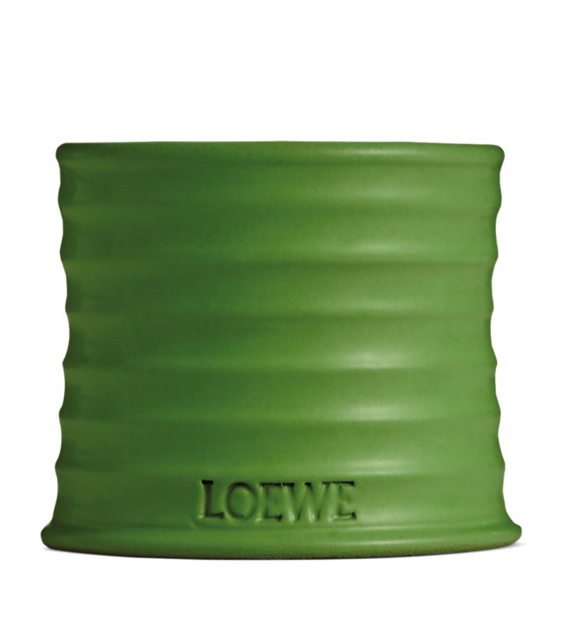 Loewe LOEWE Small Luscious Pea Candle (170g)