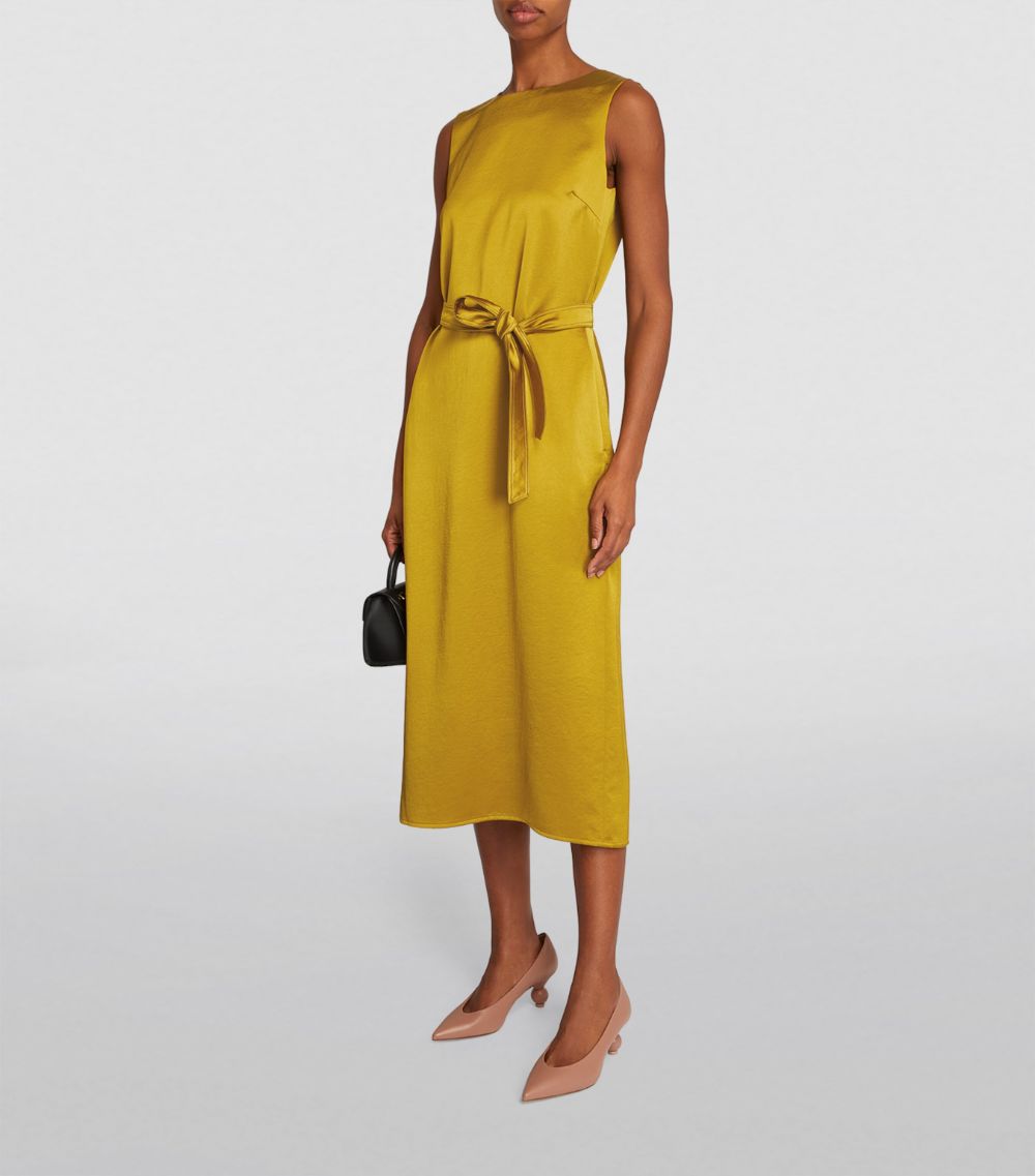 Weekend Max Mara Weekend Max Mara Belted Shift Dress