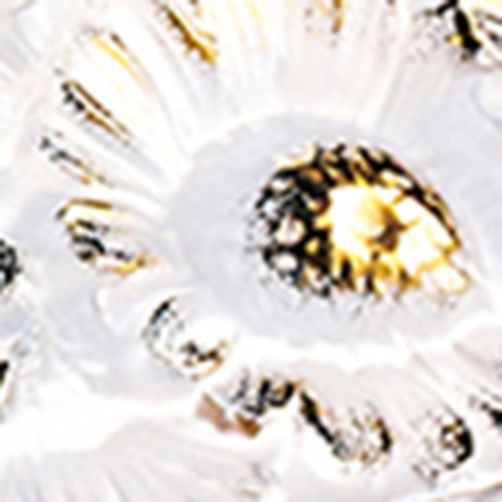 Lalique Lalique Marguerites Crystal Bowl