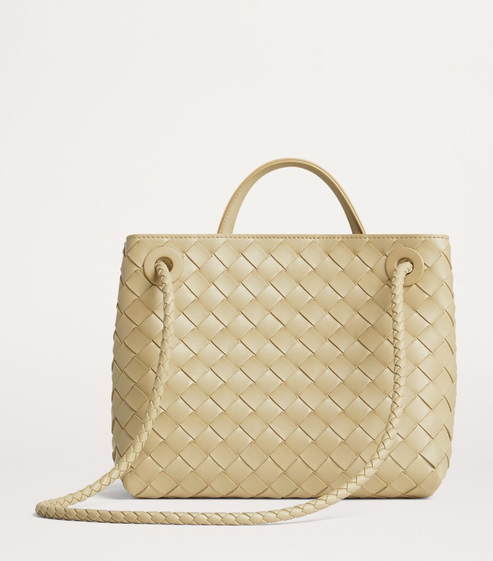 Bottega Veneta Bottega Veneta Small Leather Andiamo Shoulder Bag