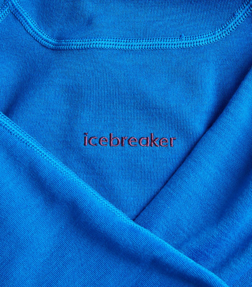 Icebreaker Icebreaker Merino Wool 300 Rollneck Thermal Top