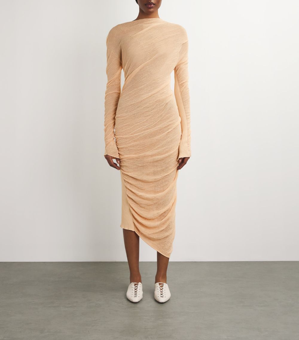 Issey Miyake Issey Miyake Ambiguous Dress