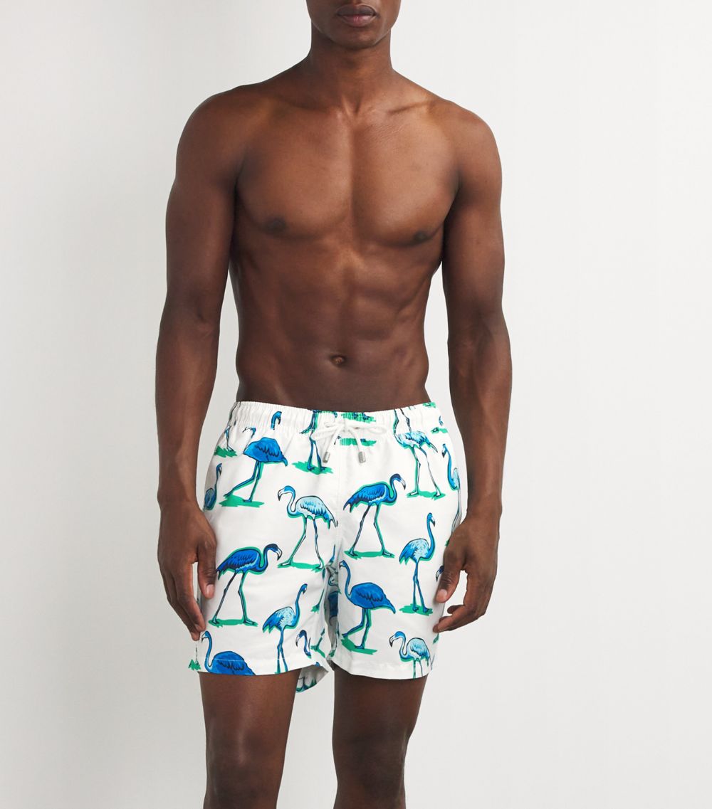  Bluemint Flamingo Arthus Swim Shorts