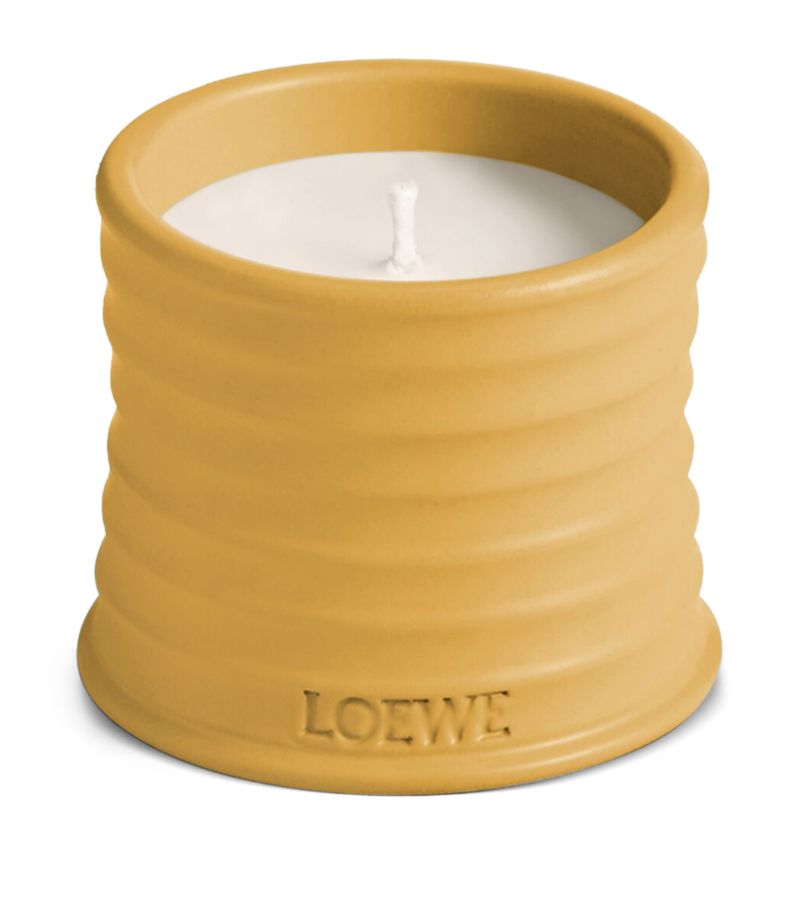 Loewe Loewe Small Wasabi Candle (170G)