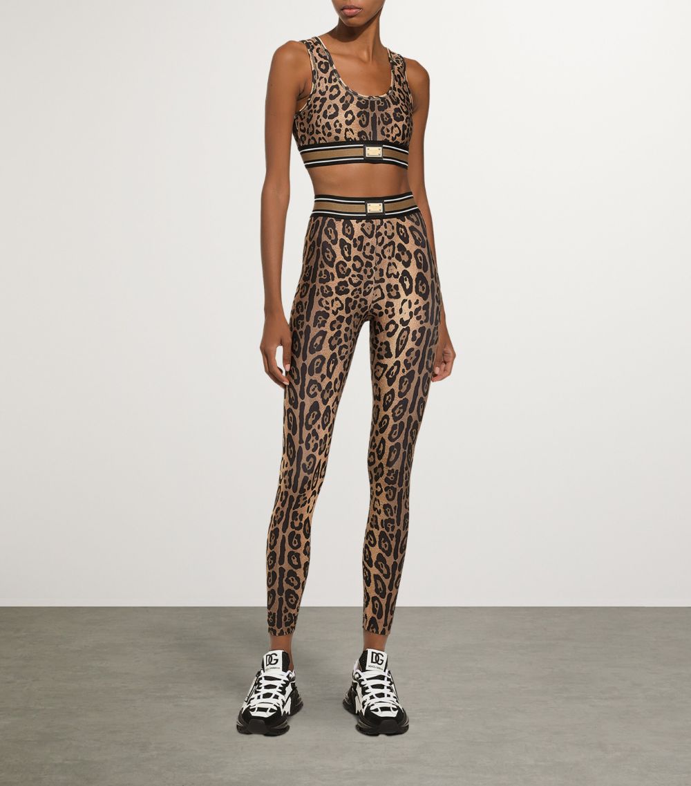 Dolce & Gabbana Dolce & Gabbana Leopard Print High-Rise Leggings