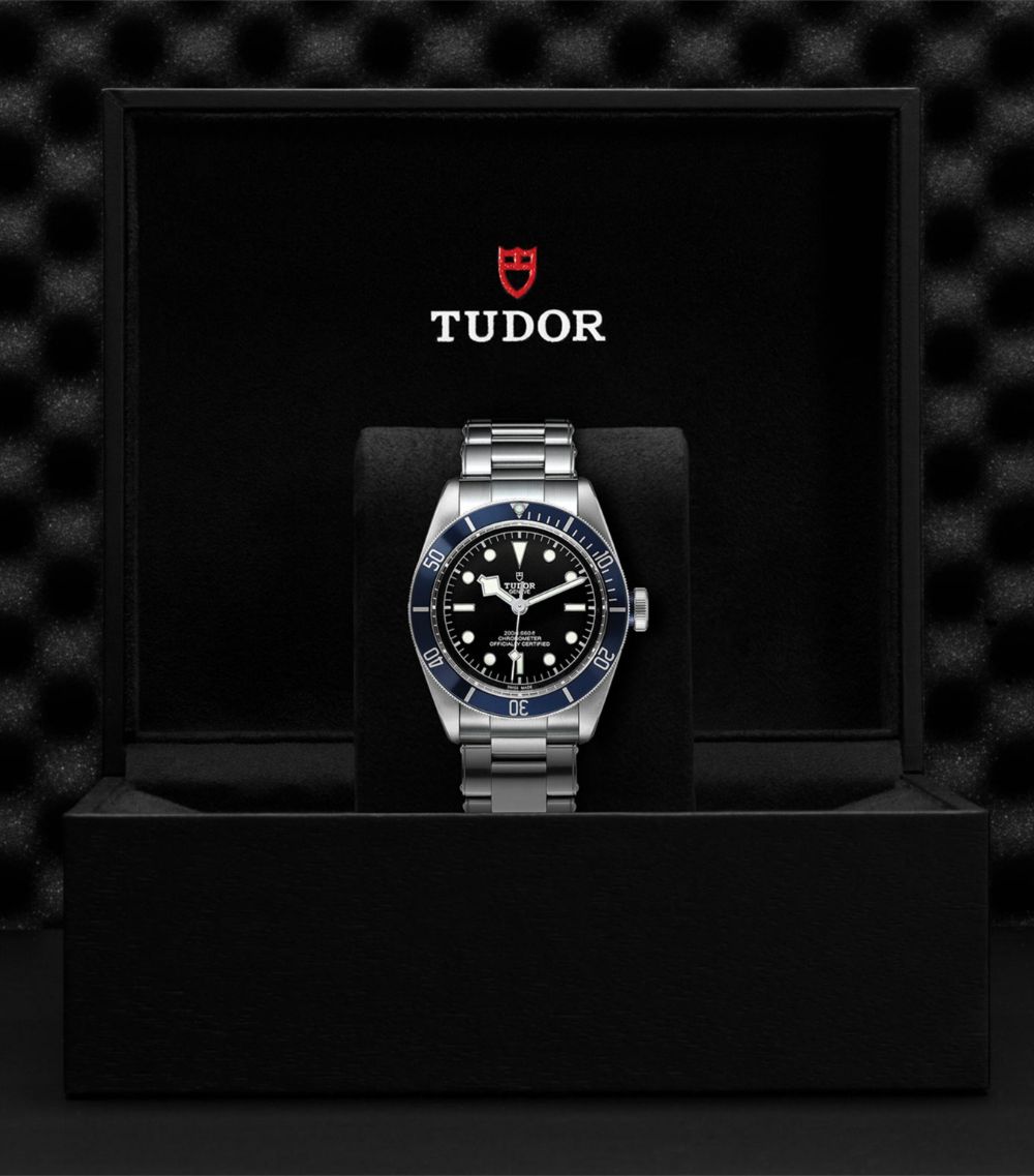 Tudor Tudor Black Bay Stainless Steel Watch 41Mm
