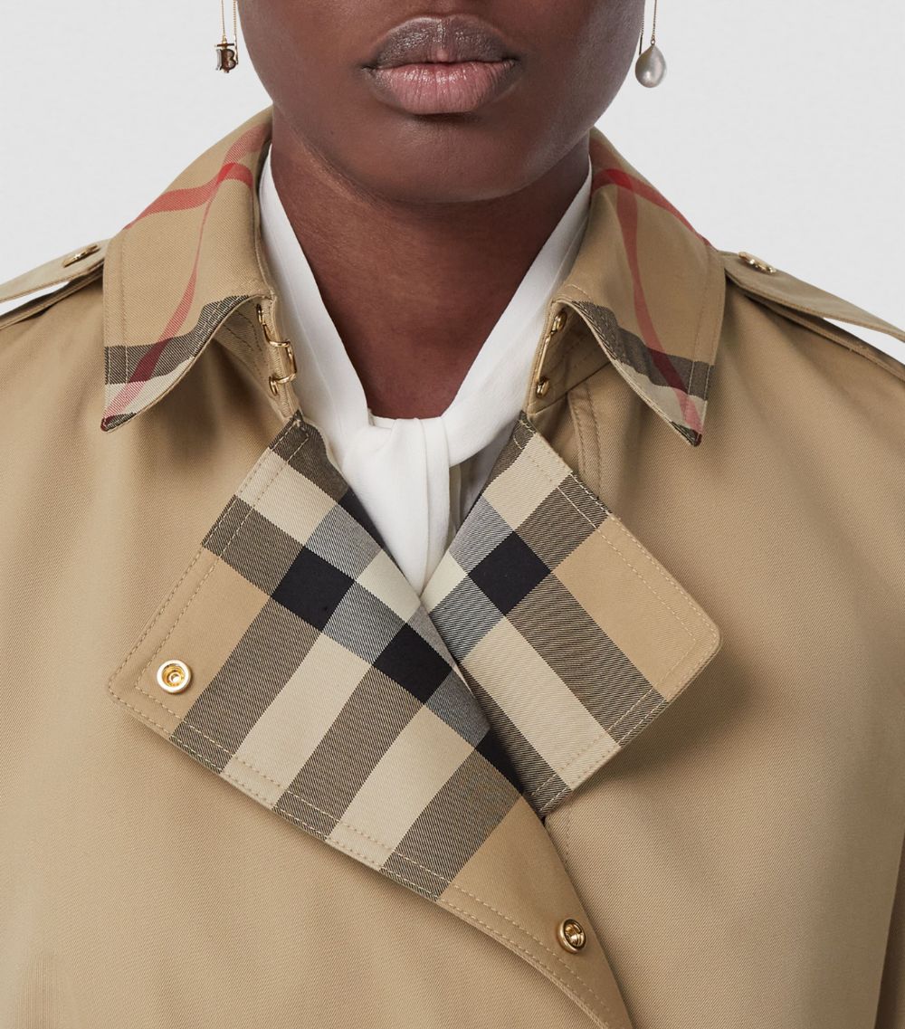 Burberry Burberry Sandridge Trench Coat