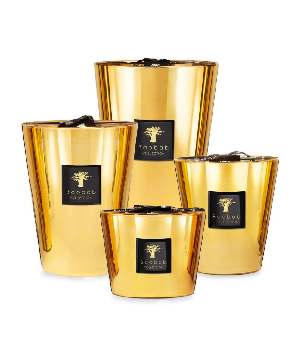 Baobab Collection Baobab Collection Aurum Maxi Candle (35cm)