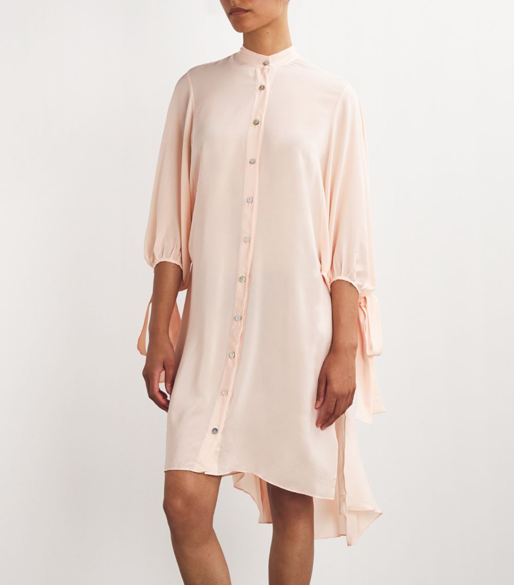 Torlowei Torlowei Silk Amina Shirt Dress