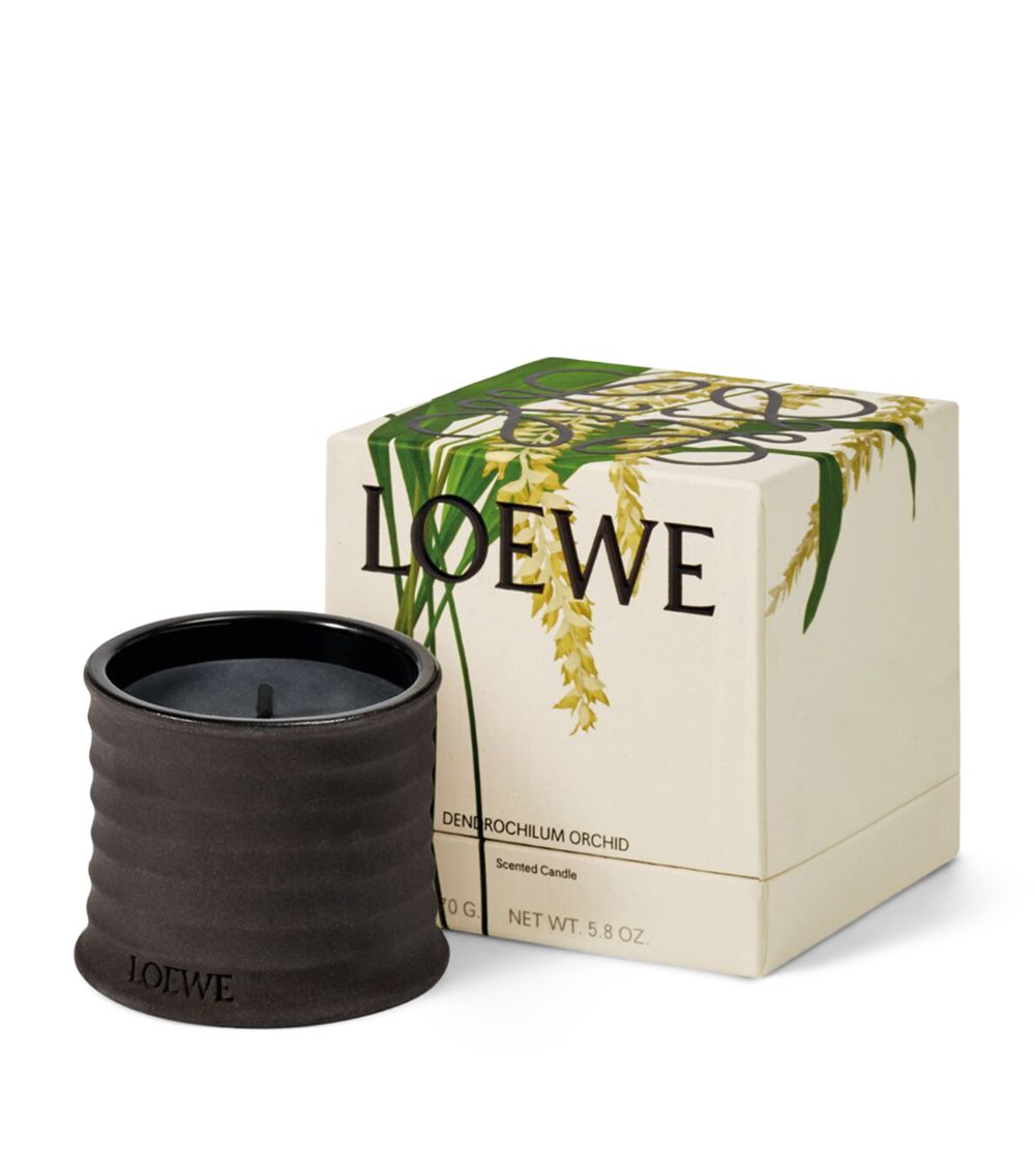 Loewe Loewe Dendrochilum Orchid Candle (170G)