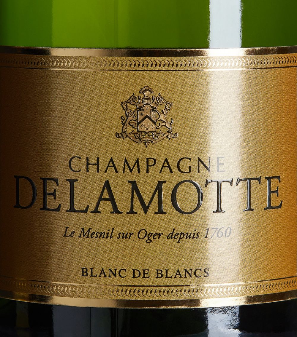 Delamotte Delamotte Blanc De Blancs Vintage Brut 2014 (75Cl) - Champagne, France