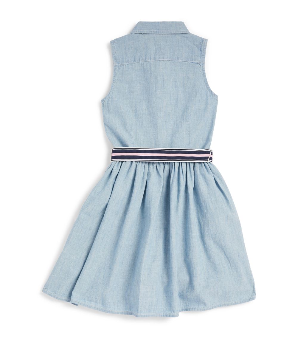 Ralph Lauren Kids Ralph Lauren Kids Chambray Stripe-Belt Dress (2-7 Years)