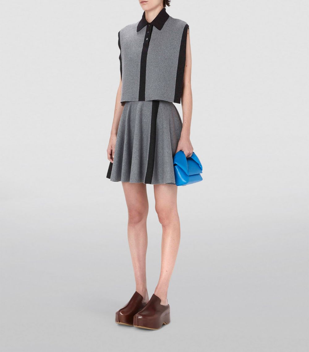 Jw Anderson Jw Anderson A-Line Mini Skirt