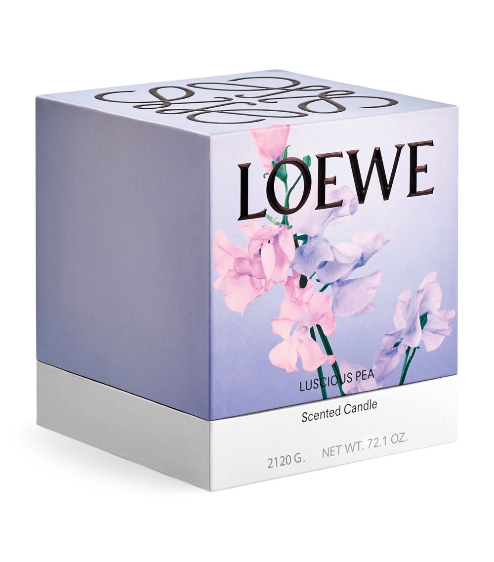 Loewe LOEWE Large Luscious Pea Candle (2.12kg)