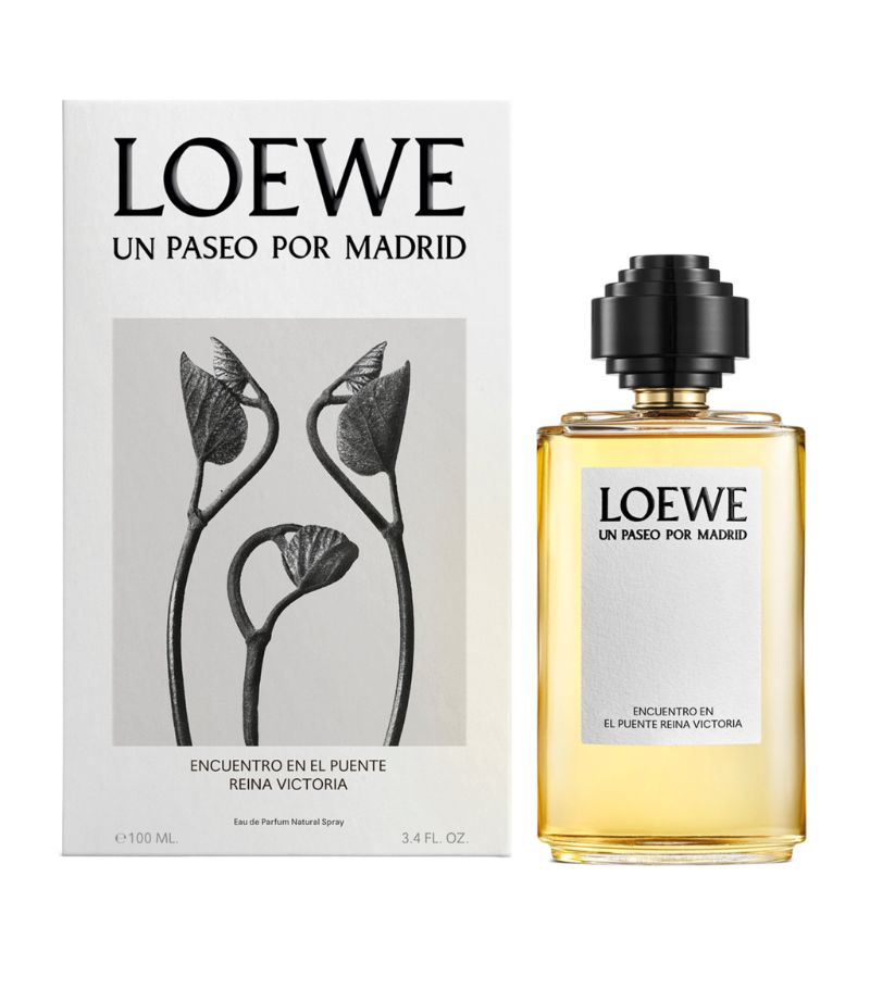 Loewe Loewe Encuentro En El Puente De La Reina Victoria Eau De Parfum (100Ml)