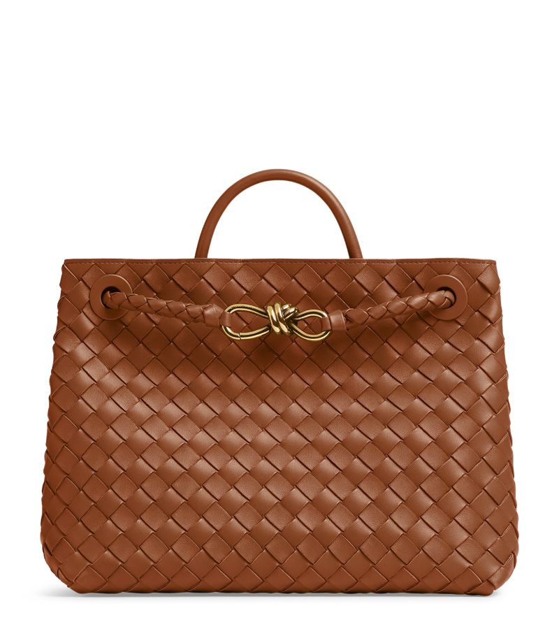 Bottega Veneta Bottega Veneta Medium Andiamo Top-Handle Bag