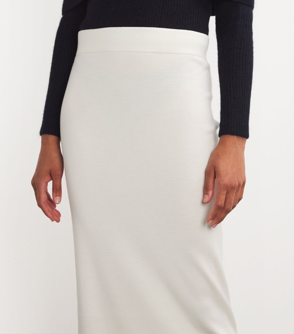 Fabiana Filippi Fabiana Filippi Second Skin Pencil Skirt