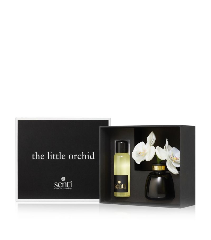 Senti Senti Fig Orchid Diffuser (100Ml)