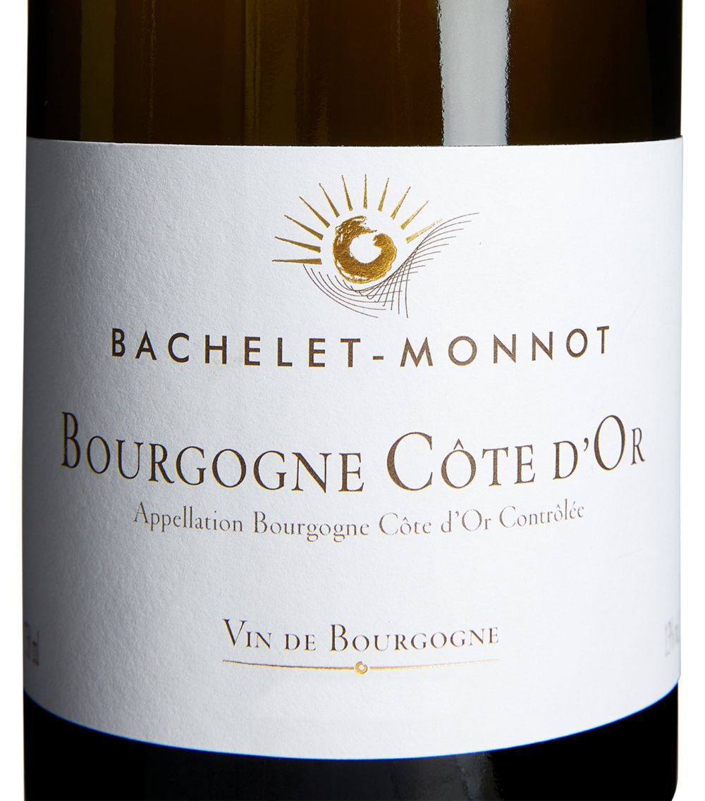 Domaine Bachelet Monnot Domaine Bachelet Monnot Bourgogne Cote D'Or Blanc Chardonnay 2021 (75Cl) - Burgundy, France