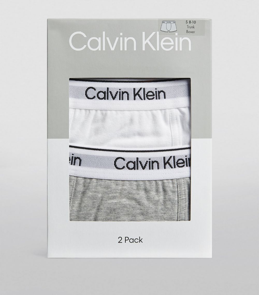 Calvin Klein Calvin Klein Kids Pack Of 2 Logo Trunks (10-14 Years)