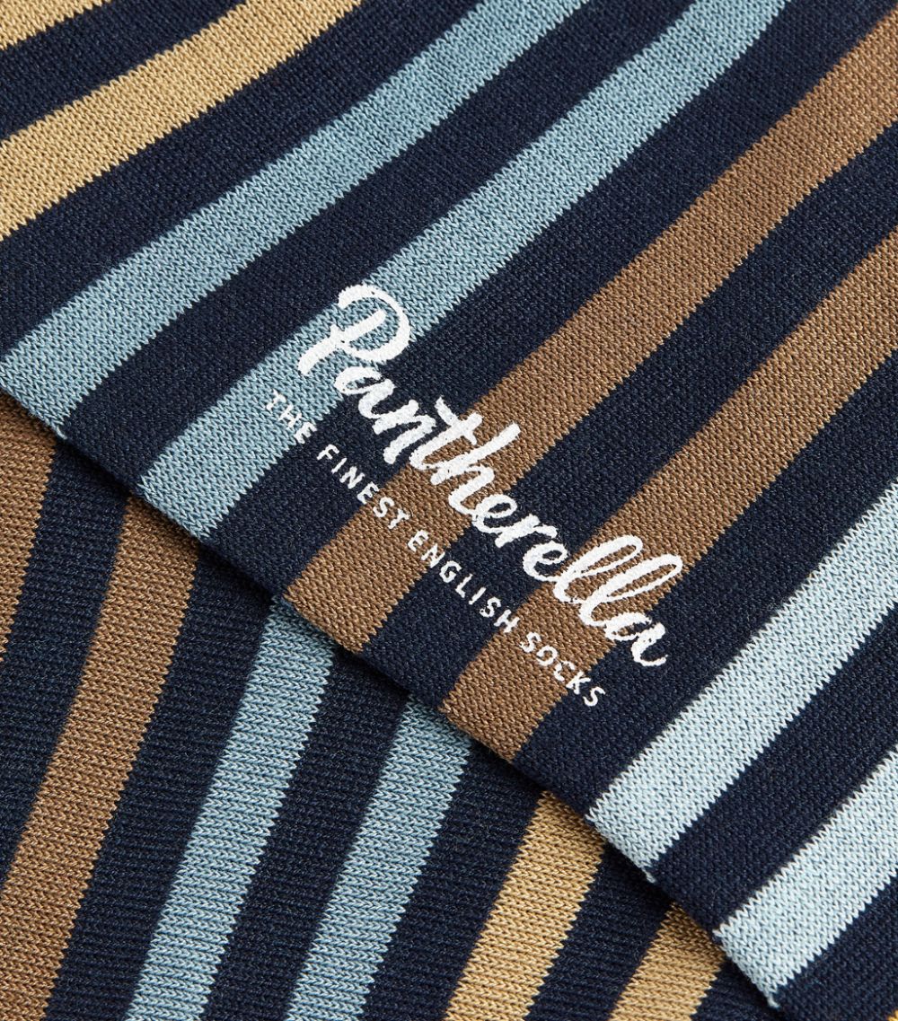 Pantherella Pantherella Striped Socks