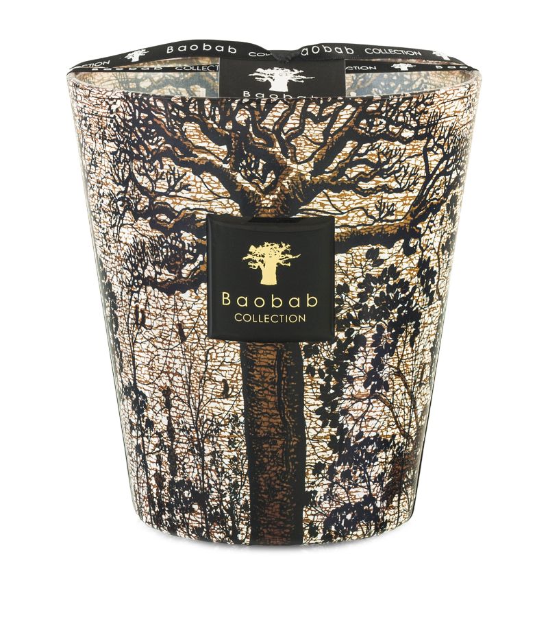 Baobab Collection Baobab Collection Sacred Trees Morondo Candle (1.1Kg)