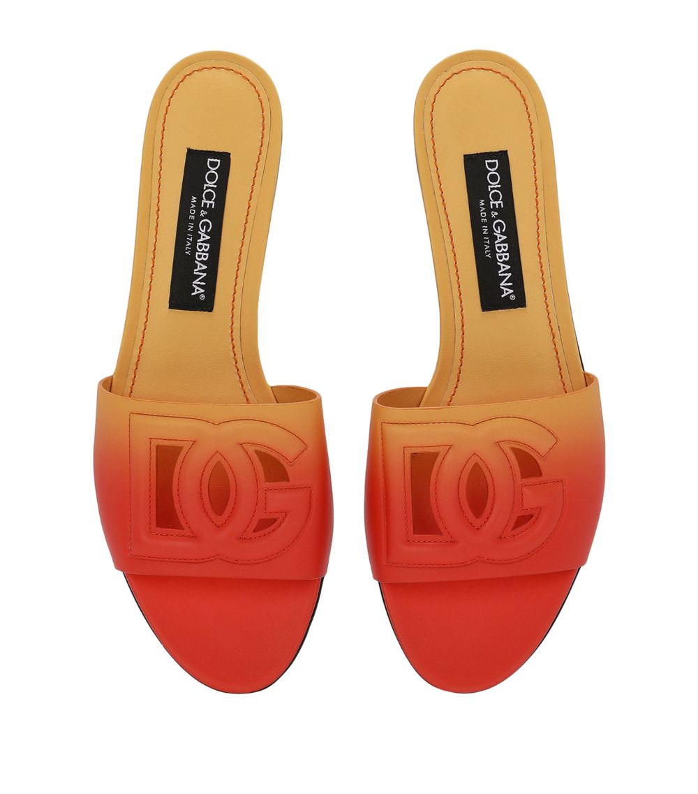 Dolce & Gabbana Dolce & Gabbana Leather Dg Slides