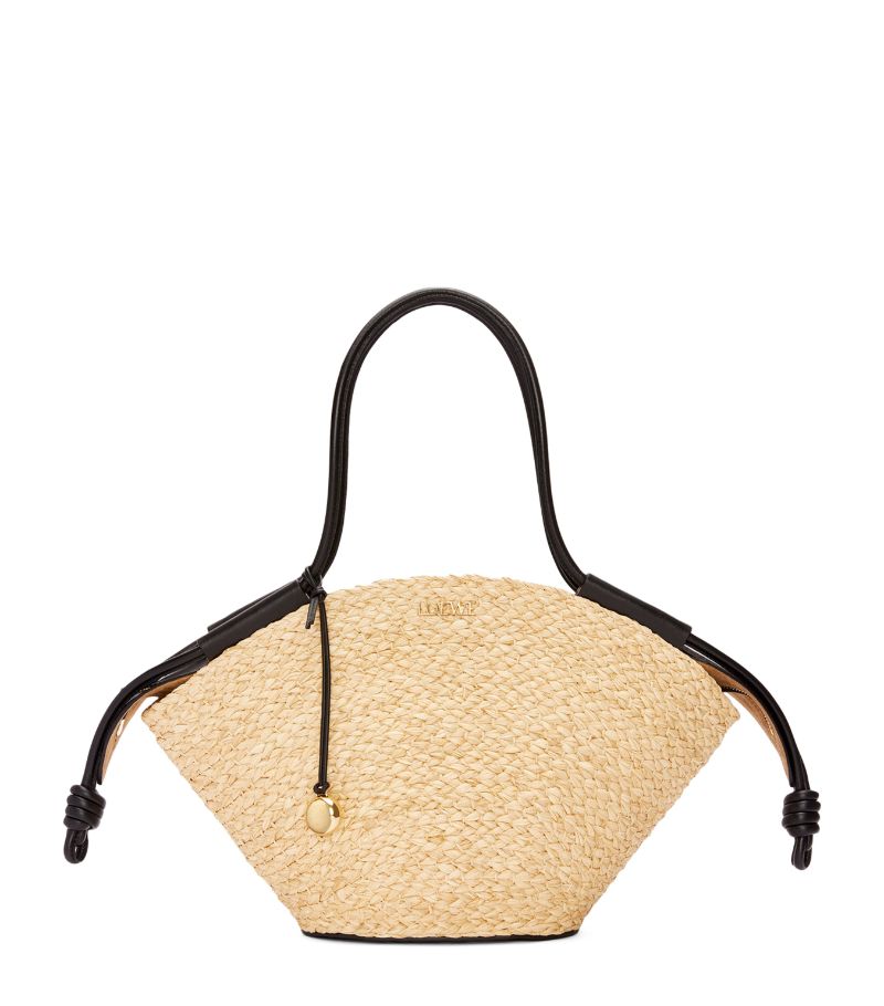 Loewe Loewe Small Woven Paseo Basket Bag