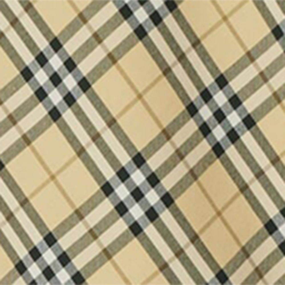 Burberry Burberry Check Shirt