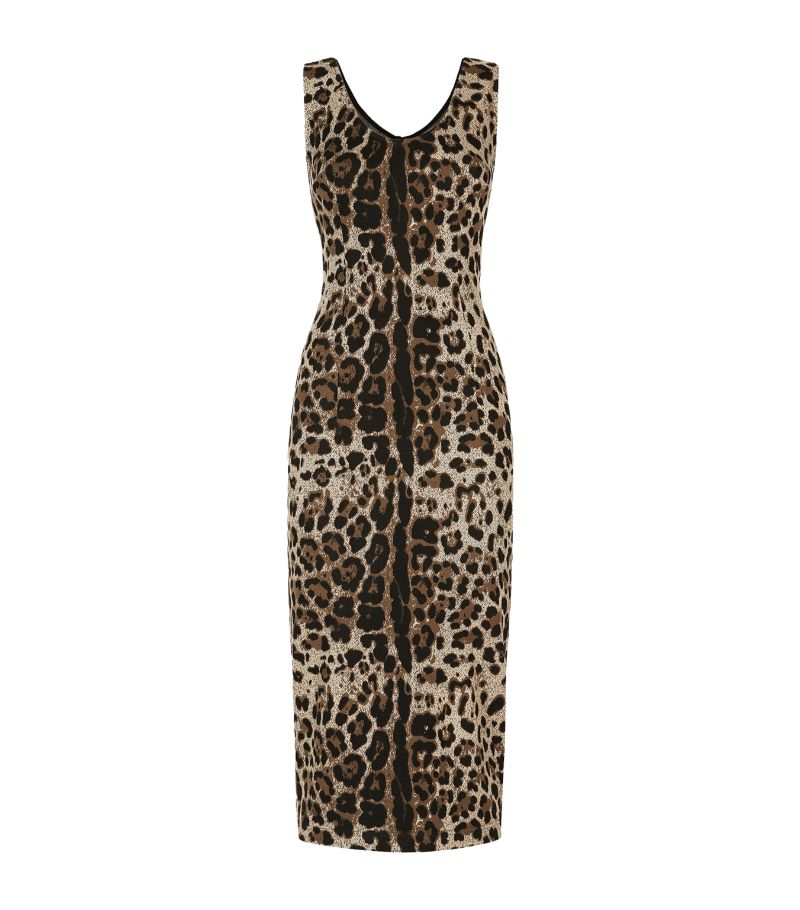 Dolce & Gabbana Dolce & Gabbana Leopard Print Midi Dress