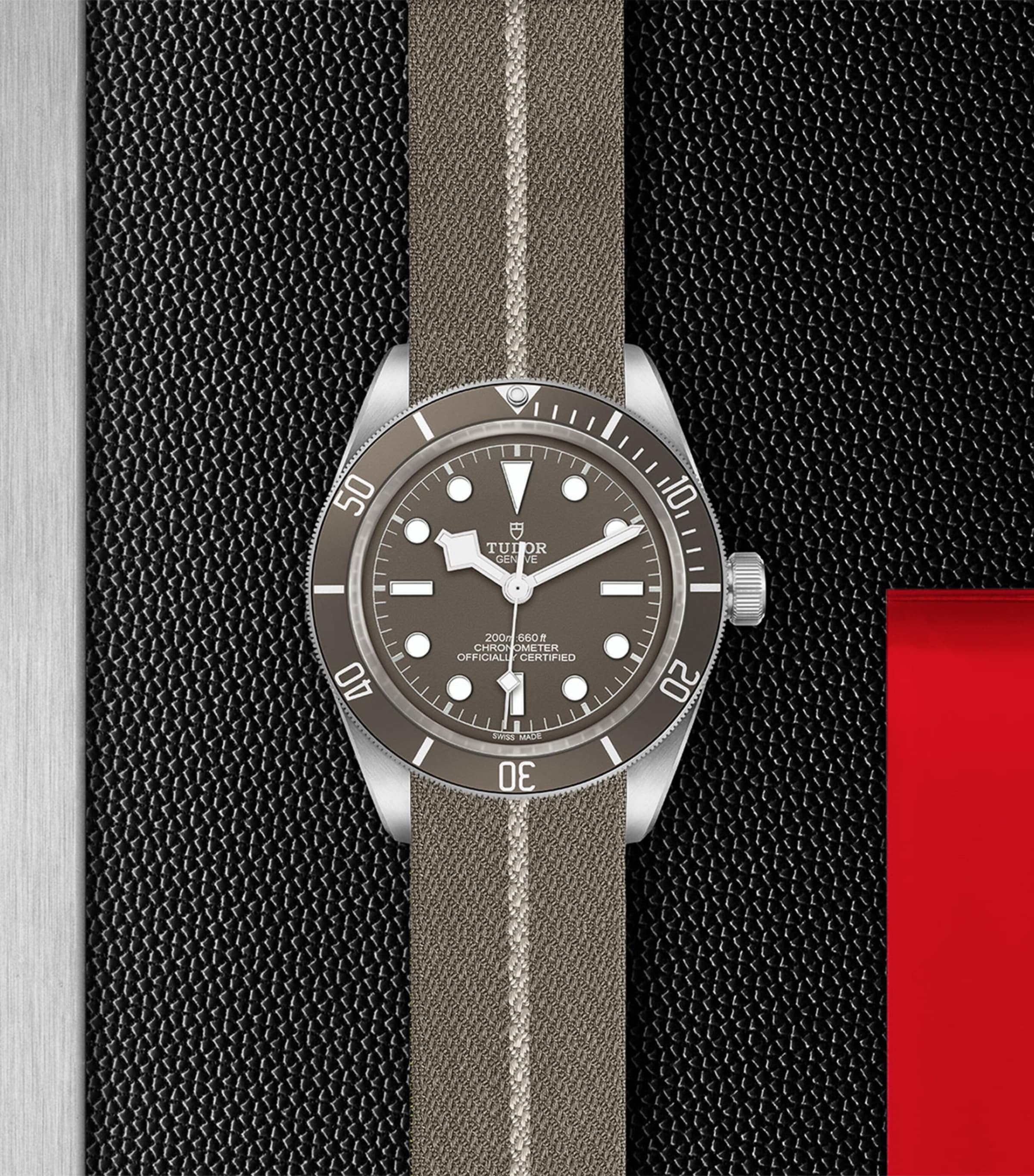 Tudor Tudor Black Bay Fifty-Eight Silver Watch