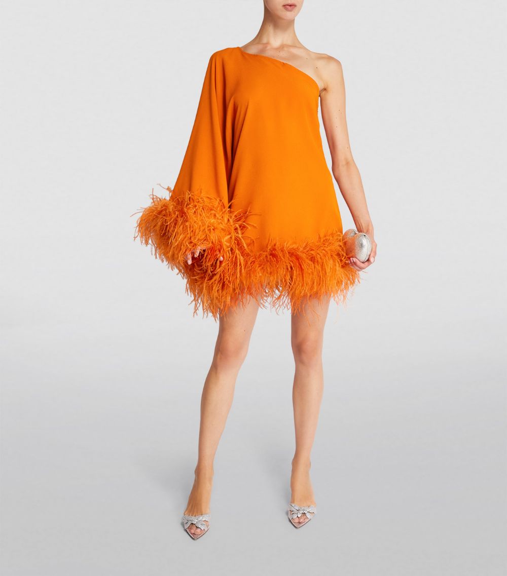 Taller Marmo Taller Marmo Feather-Trim Ubud Mini Dress