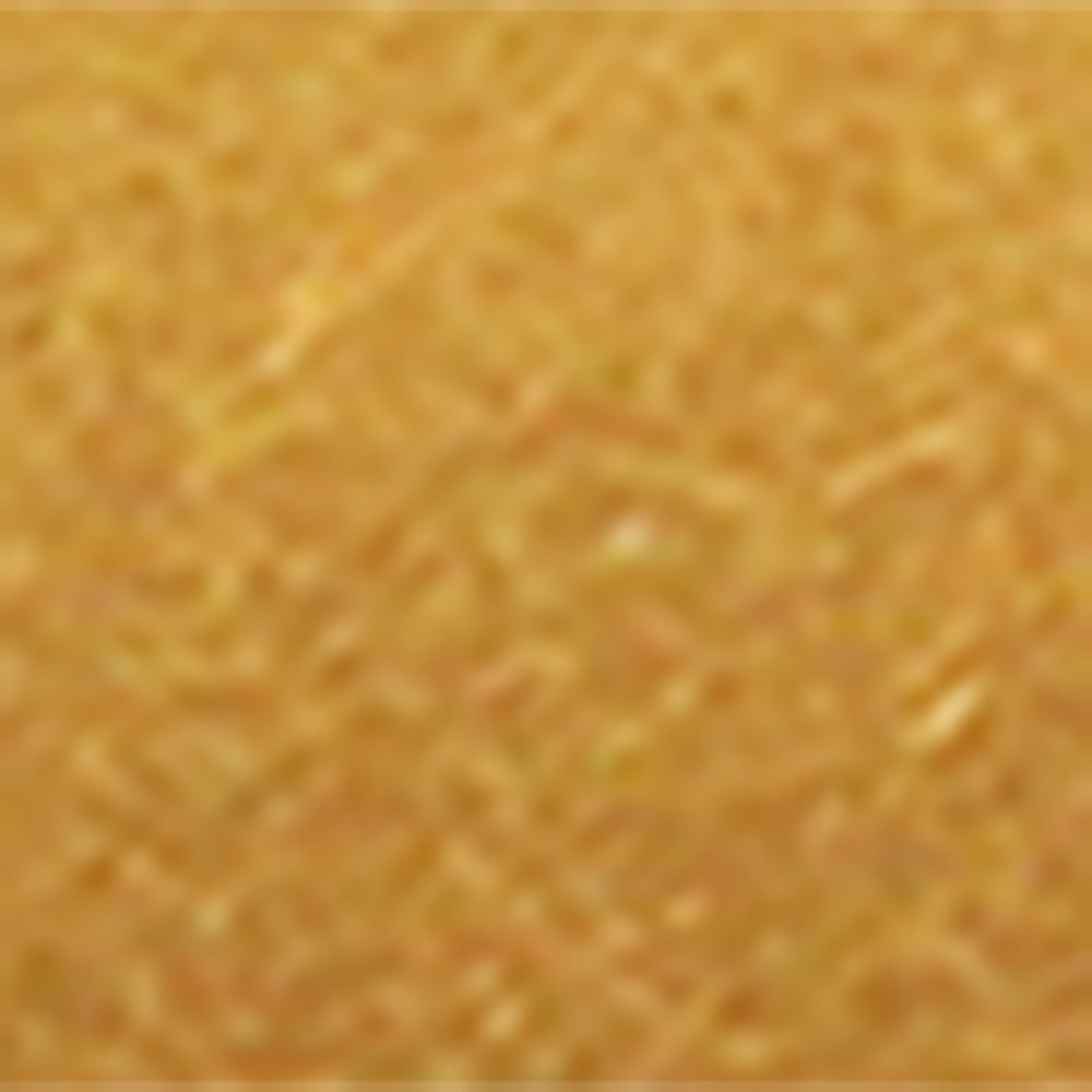 Posh Trading Company Posh Trading Company Gold Leaf Coastbox (Set Of 8)