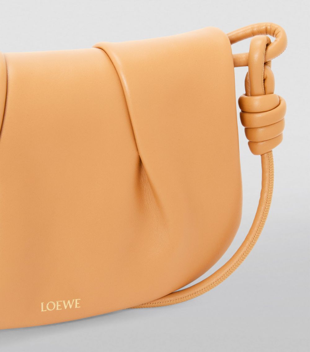 Loewe Loewe Small Paseo Cross-Body Bag