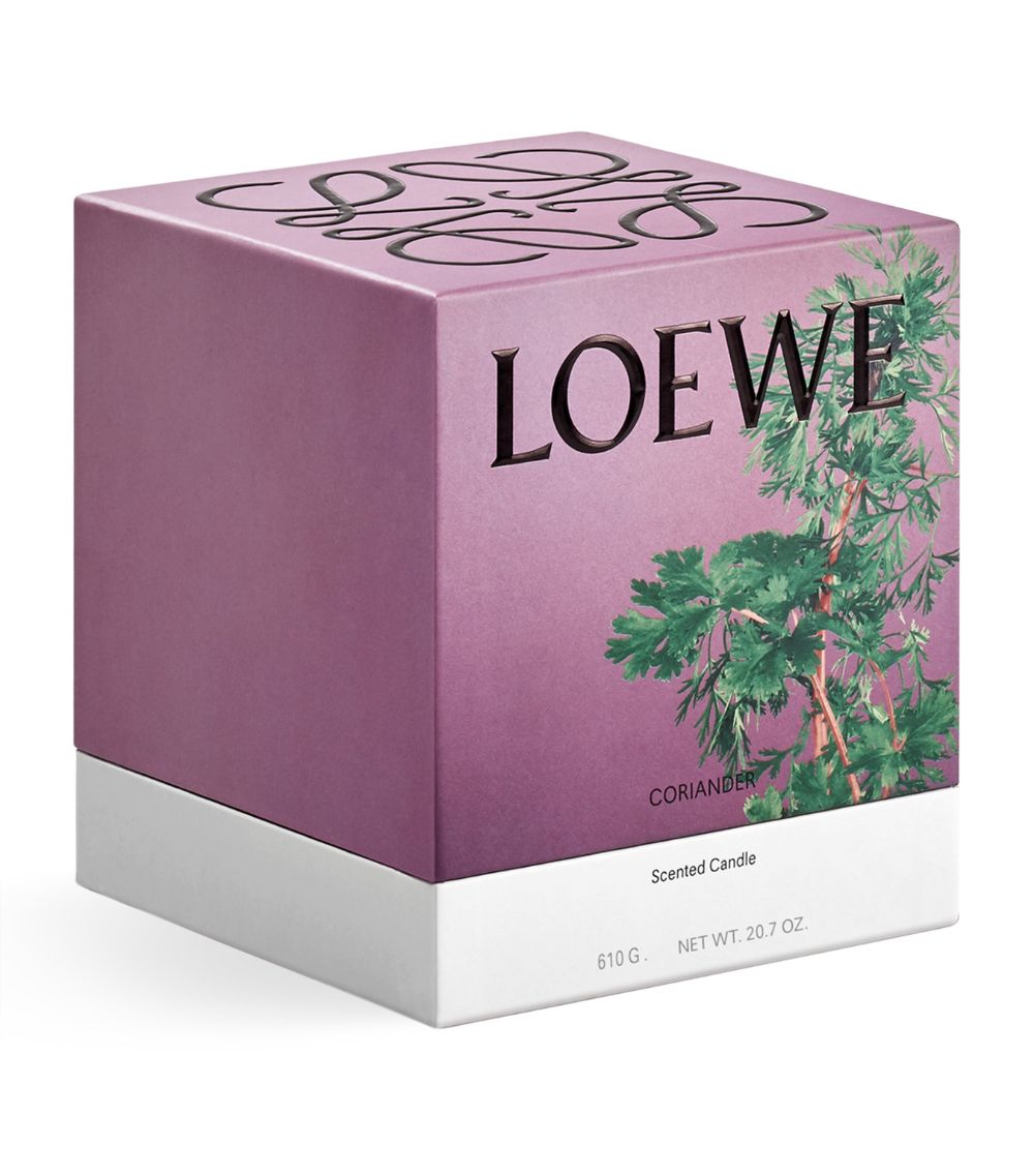 Loewe LOEWE Medium Coriander Candle (610g)