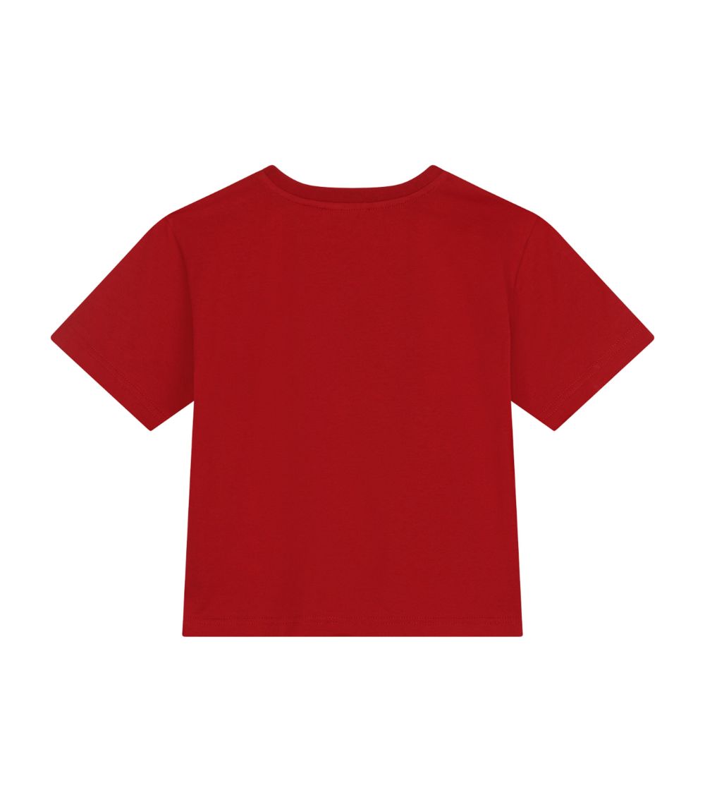 Dolce & Gabbana Dolce & Gabbana Kids Cotton Logo T-Shirt (2-6 Years)