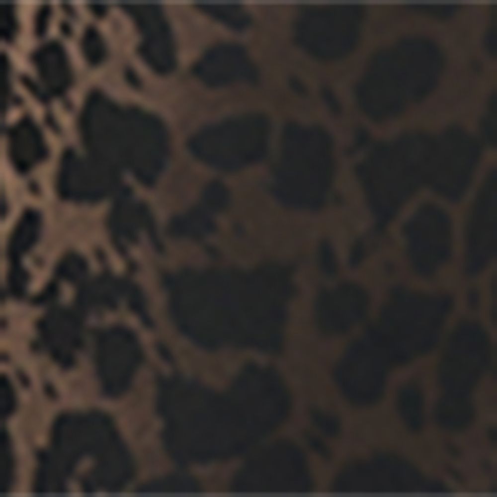 Alexander McQueen Alexander Mcqueen Silk-Blend Leopard Print Dress