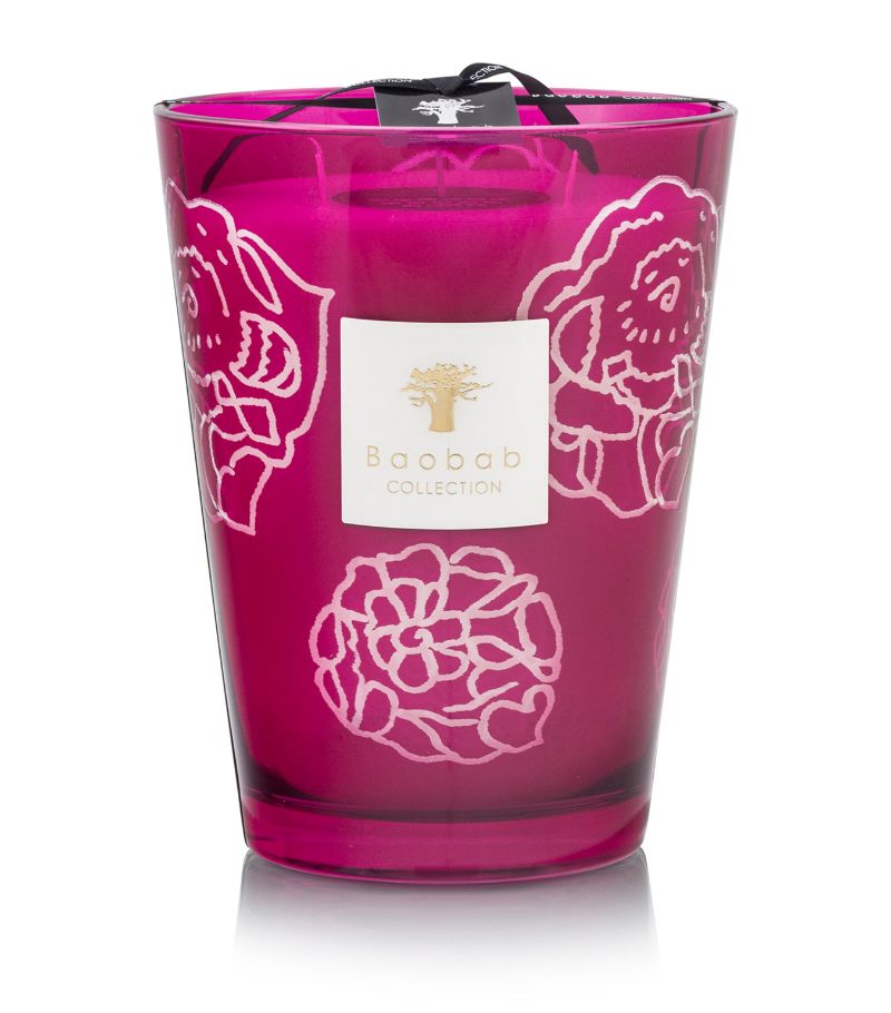 Baobab Collection Baobab Collection Collectible Roses Burgundy Candle (6kg)