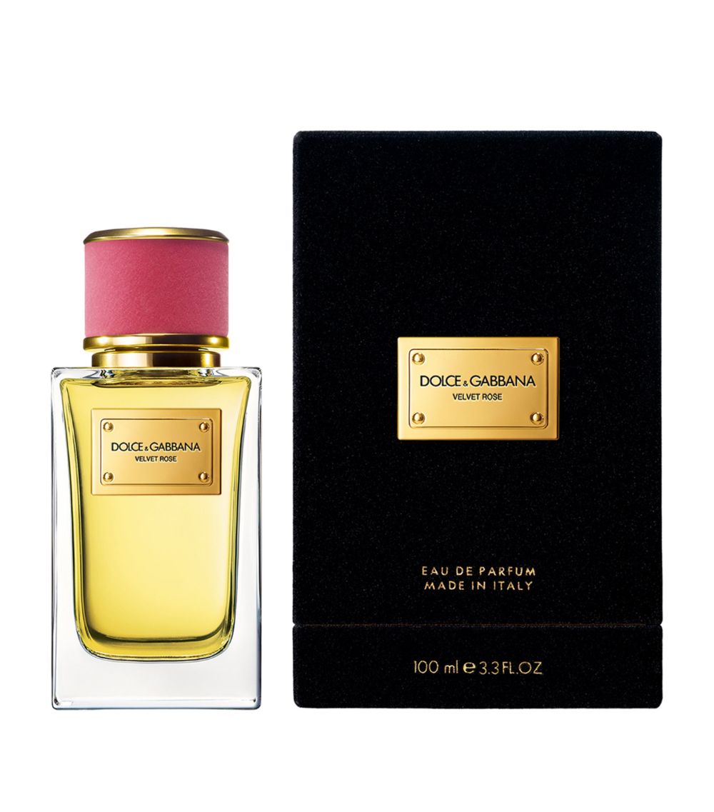 Dolce & Gabbana Dolce & Gabbana Velvet Rose Eau De Parfum (100Ml)