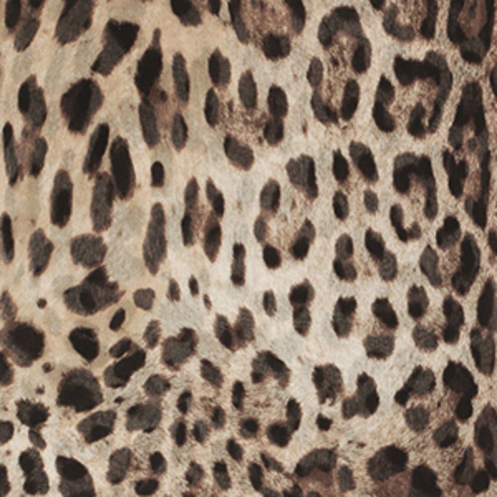 Dolce & Gabbana Dolce & Gabbana Kim Dolce & Gabbana Silk Leopard Print Scarf