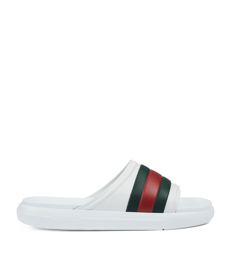 Gucci Gucci Web Stripe Slides